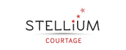 Stellium Courtage sélectionne et met à disposition des consultants une gamme de solutions en produits d’assurance, issue de partenariats prestigieux et susceptible de répondre aux attentes des investisseurs quelque soit leur capacité financière.